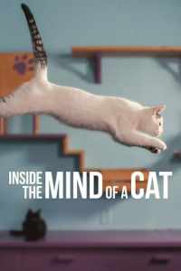 Смотреть Внутри разума кошки (2022) онлайн в качестве HD 720